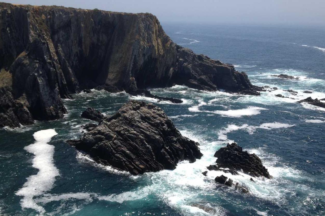 Officia libero qui esse